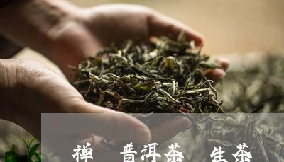 禅 普洱茶 生茶/2023031785936